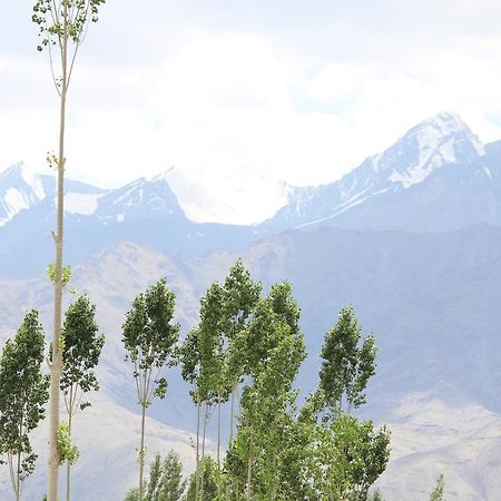 Hotel Kasdar Ladakh Leh Kültér fotó