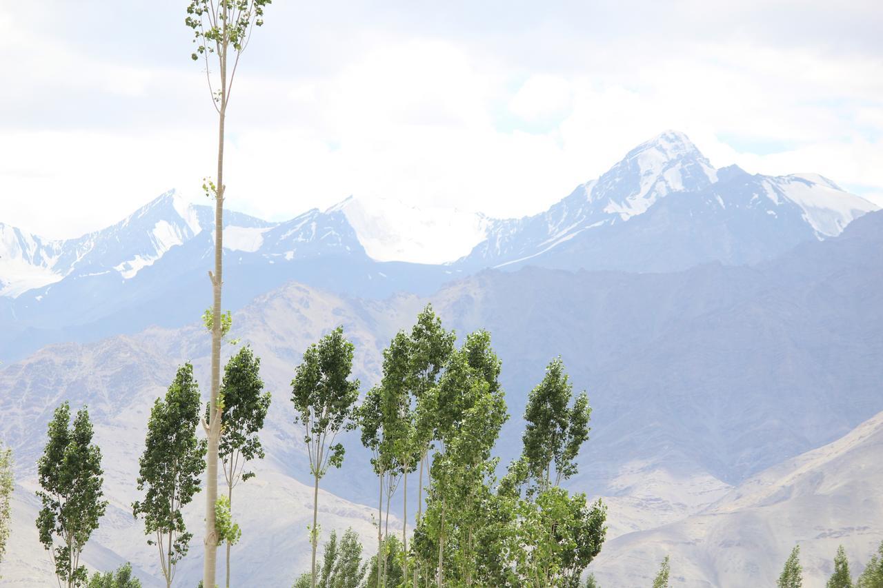 Hotel Kasdar Ladakh Leh Kültér fotó